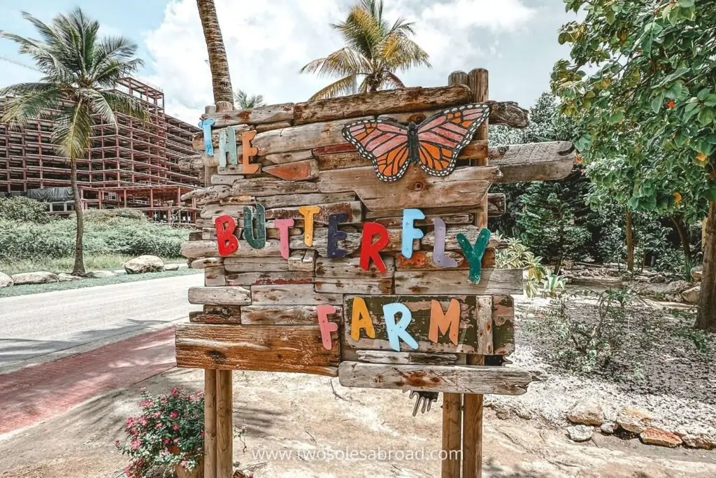 things to do in Aruba, The Butterfly Farm