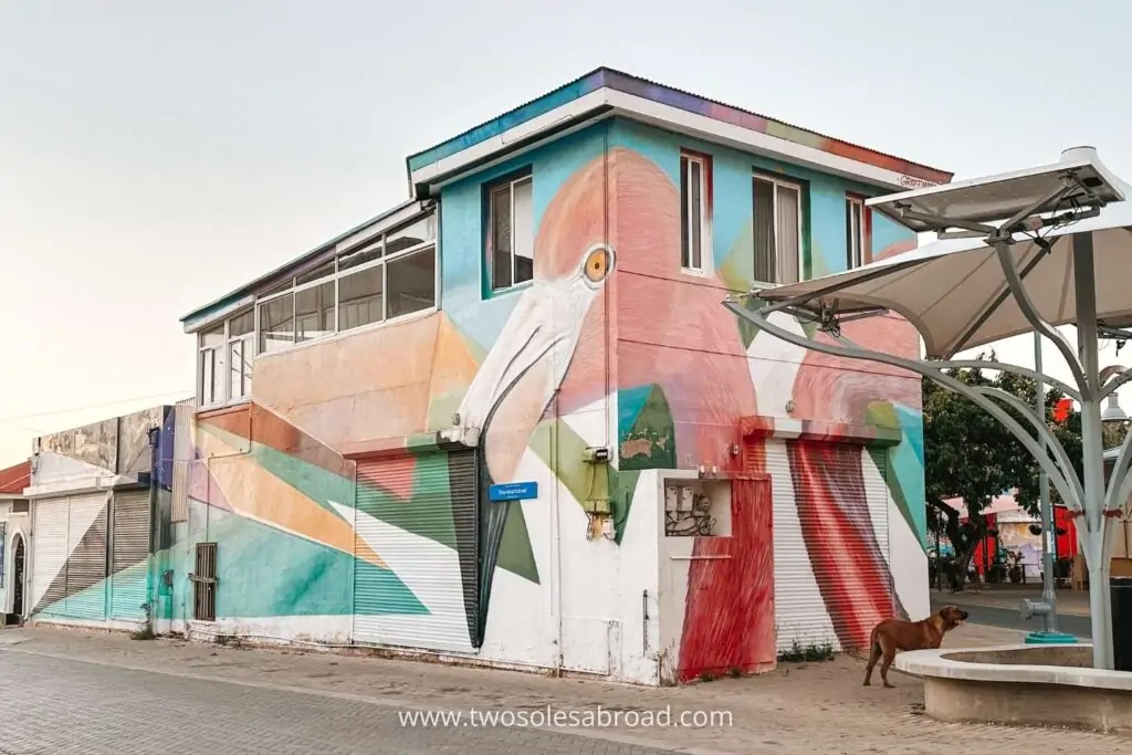 things to do in Aruba, San Nicolas, Flamingo Wall Mural